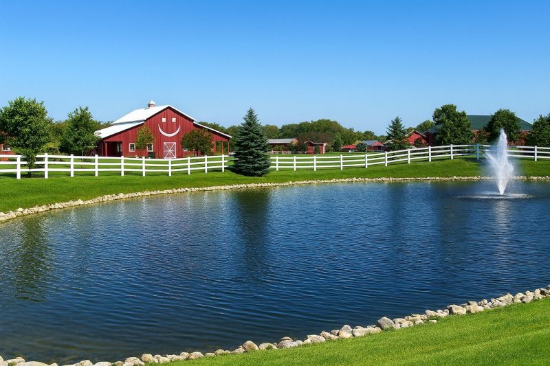 Eco-Friendly Options